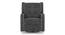 Irene Rocker & Swivel Recliner in Space Grey Velvet (One Seater,  Space Grey Velvet) by Urban Ladder - Rear View Design 1 - 765331