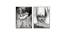 Canvas Painting Set of 2 Black & White Portrait Theme Wall Art Painting with Wooden Frame (Multicolor) by Urban Ladder - Front View Design 1 - 766148