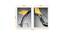 Set of 2 Wall Arts White & Black Abstract Water Theme Canvas Art Wall Paintings (Multicolor) by Urban Ladder - Design 1 Dimension - 766228