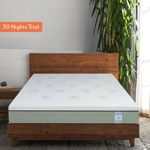 Latex Mattress Design Dreamer Natural Latex Foam Queen Size Mattresss (Queen, 78 x 60 in (Standard) Mattress Size, 8 in Mattress Thickness (in Inches))