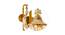 Brandyn Wall Lamp (Brass & Amber) by Urban Ladder - Design 1 Side View - 769051
