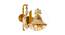 Brandyn Wall Lamp (Brass & Amber) by Urban Ladder - Design 1 Side View - 769051