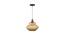 Oslo Hanging Lamp (Grey) by Urban Ladder - Front View Design 1 - 769710