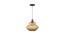 Oslo Hanging Lamp (Grey) by Urban Ladder - Front View Design 1 - 769710