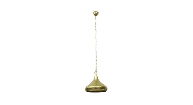 Leo Pendant (Brass) by Urban Ladder - Front View Design 1 - 769714