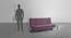 Smith 3 Seater Manual Sofa cum Bed in Purple (Sangria Purple) by Urban Ladder - Dimension Design 1 - 