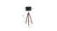 Hemmings Black Cotton Shade Floor Lamp (Black) by Urban Ladder - Design 1 Dimension - 770283