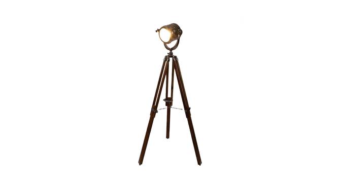 Isaac Nickle Metal Shade Floor Lamp (Brown) by Urban Ladder - Front View Design 1 - 770514