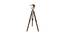 Isaac Nickle Metal Shade Floor Lamp (Brown) by Urban Ladder - Front View Design 1 - 770514