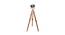 Isaac Nickle Metal Shade Floor Lamp (Brown) by Urban Ladder - Design 1 Side View - 770542