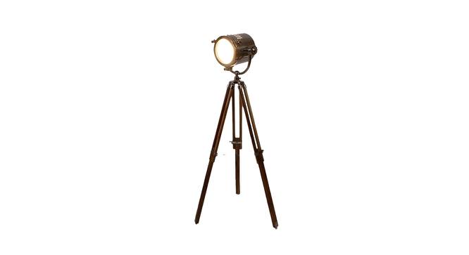 Leo Nickle Metal Shade Floor Lamp (Brown) by Urban Ladder - Design 1 Side View - 770545