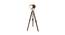 Leo Nickle Metal Shade Floor Lamp (Brown) by Urban Ladder - Design 1 Side View - 770545