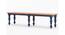 noguchi Benches (Brown, Royal Blue Finish) by Urban Ladder - Front View Design 1 - 770575