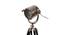 John Nickle Metal Shade Floor Lamp (Brown) by Urban Ladder - Ground View Design 1 - 770584