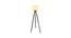 Xander White Cotton Shade Floor Lamp (White) by Urban Ladder - Design 1 Side View - 770709