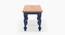 noguchi Benches (Brown, Royal Blue Finish) by Urban Ladder - Rear View Design 1 - 770713