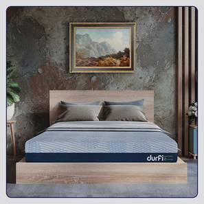 Mattresses Design Hempseed Memory Orthopedic Natural Oil Certified Soft Luxury Bed Mattress - Double Size (10 in Mattress Thickness (in Inches), 72 x 48 in Mattress Size, Double Mattress Type)