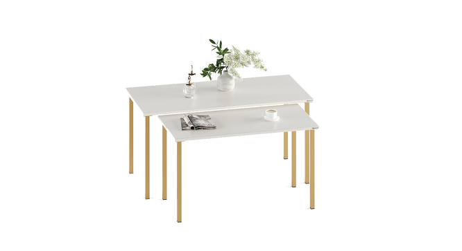 Gustave Rectangular Engineered Wood Coffee Table in White Finish (Matte Finish) by Urban Ladder - Front View Design 1 - 779794