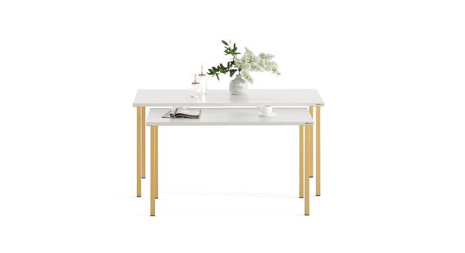 Gustave Rectangular Engineered Wood Coffee Table in White Finish (Matte Finish) by Urban Ladder - Design 1 Side View - 779801