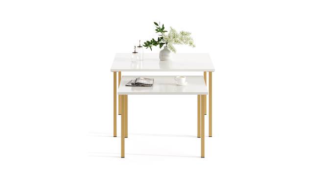 Gustowe Square Engineered Wood Coffee Table in White Finish (Matte Finish) by Urban Ladder - Design 1 Side View - 779803