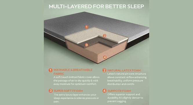 Laxe Natural Pincore Single Size Latex Mattress (Single Mattress Type, 6 in Mattress Thickness (in Inches), 72 x 36 in Mattress Size) by Urban Ladder - Front View Design 1 - 779924