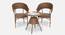 Outdoor Set (Brown, Brown Finish) by Urban Ladder - Front View Design 1 - 782938