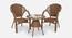 Stalin Patio Table & Chair Set in Brown Colour (Brown, Brown Finish) by Urban Ladder - Front View Design 1 - 782940