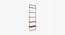 Jasper Ladder Bookshelf (Natural Finish) by Urban Ladder - Front View Design 1 - 783387
