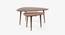 Apollo Coffee Table Set of 2 (American Walnut Finish) by Urban Ladder - Front View Design 1 - 783792