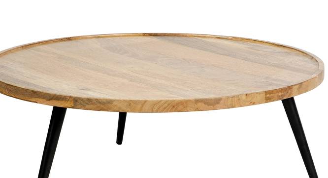 Dakara Coffee Table (American Walnut Finish) by Urban Ladder - Design 1 Side View - 783818