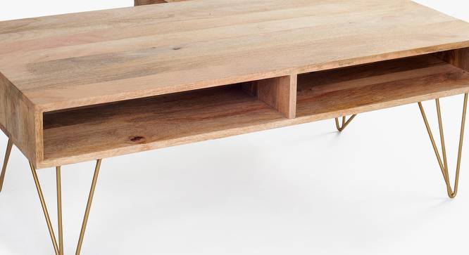 Art Deco Coffee Table Rectangle (American Walnut Finish) by Urban Ladder - Design 1 Side View - 783949