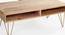 Art Deco Coffee Table Rectangle (American Walnut Finish) by Urban Ladder - Design 1 Side View - 783949