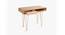 Art Deco Study Table (Natural Finish) by Urban Ladder - Ground View Design 1 - 783973