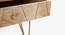Art Deco Coffee Table Rectangle (American Walnut Finish) by Urban Ladder - Rear View Design 1 - 784007