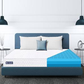 The Sleep Company Mattress Design Smart Grid Orthopedic Queen Size Mattress (78 x 60 in (Standard) Mattress Size, 6 in Mattress Thickness (in Inches))