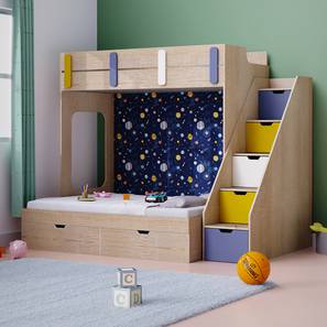 Pattern Dreams Engineered Wood Bunk Bed in Brown Colour