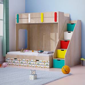 boingg! - a happy start Pattern Dreams Engineered Wood Bunk Bed in Brown Colour-picture-28