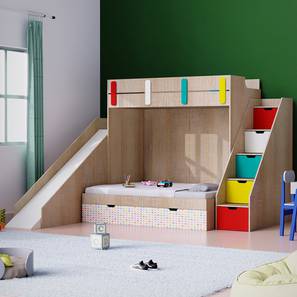 Sleep N Engineered Wood Bunk Bed in Brown Colour