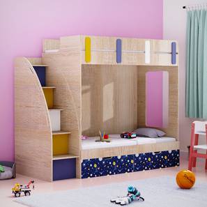 boingg! - a happy start Pinwheels Engineered Wood Bunk Bed in Brown Colour-picture-18