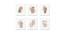 Photoframe Set of 06 (White) by Urban Ladder - Front View Design 1 - 790402