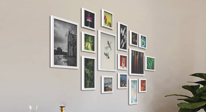 Photoframe Set of 16 (White) by Urban Ladder - Front View Design 1 - 790679