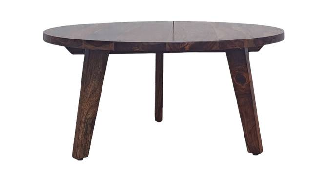 Ringbud Coffee Table (Melamine Finish) by Urban Ladder - Front View Design 1 - 