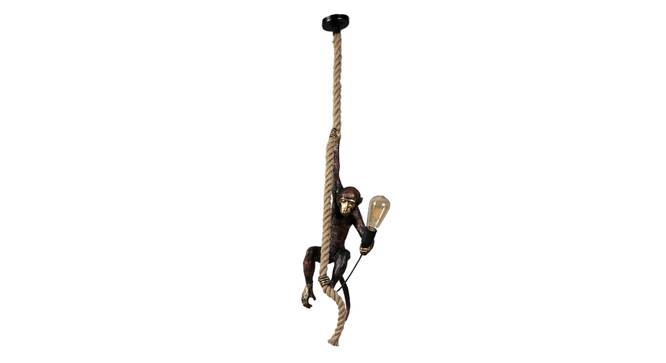 Reno Black Polycarbonate Hanging Light (Black) by Urban Ladder - Front View Design 1 - 798119