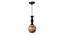 Wheeler Black Iron Hanging Light (Black) by Urban Ladder - Front View Design 1 - 798120