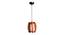 Blodwen Brown Wood Hanging Lights (Brown) by Urban Ladder - Front View Design 1 - 798137