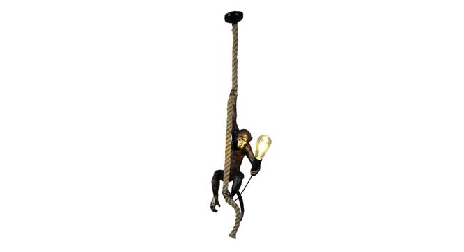 Reno Black Polycarbonate Hanging Light (Black) by Urban Ladder - Design 1 Side View - 798158