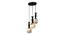 Shep Black Iron Hanging Light (Black) by Urban Ladder - Design 1 Side View - 798162