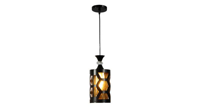 Seton Black Iron Hanging Light (Black) by Urban Ladder - Design 1 Side View - 798164