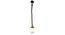 Yoan Brown Jute Hanging Light (Brown) by Urban Ladder - Design 1 Side View - 798168