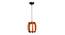 Blodwen Brown Wood Hanging Lights (Brown) by Urban Ladder - Design 1 Side View - 798181